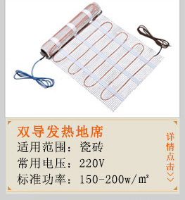 雙導發熱地席