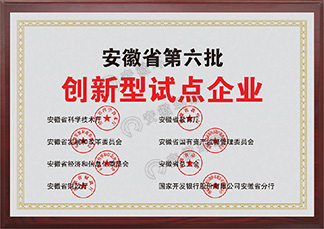 安徽省第六批創新型試點企業