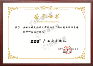 高性能自限溫電伴熱帶研發創新團隊