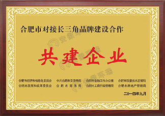 合肥市對接長三角品牌建設合作共建企業