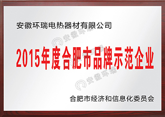 2015年度合肥市品牌示范企業