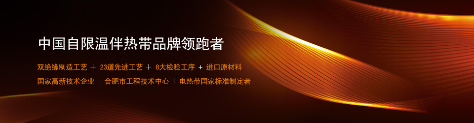 環瑞電伴熱